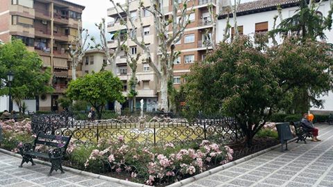 Fiestas de Las Canalejas