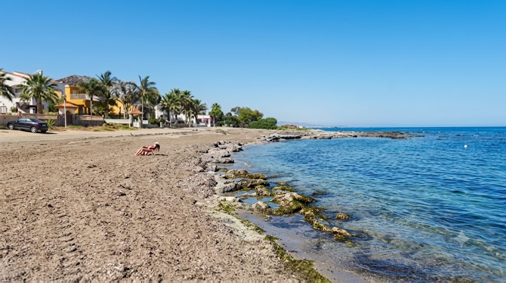 Fiestas del Calón