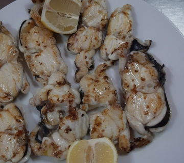 BALSICA4