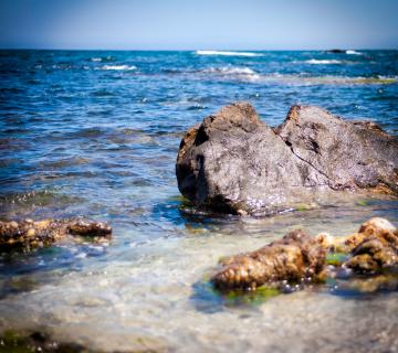 cala el mal paso