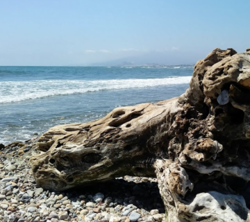 Playa La Fabrica del Duro