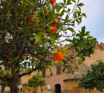 MUSEO ÁLVAREZ DE SOTOMAYOR