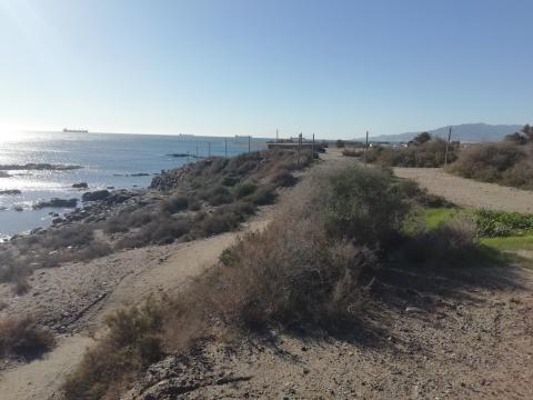 Restauración ambiental de la zona de Villaricos y el río Almanzora